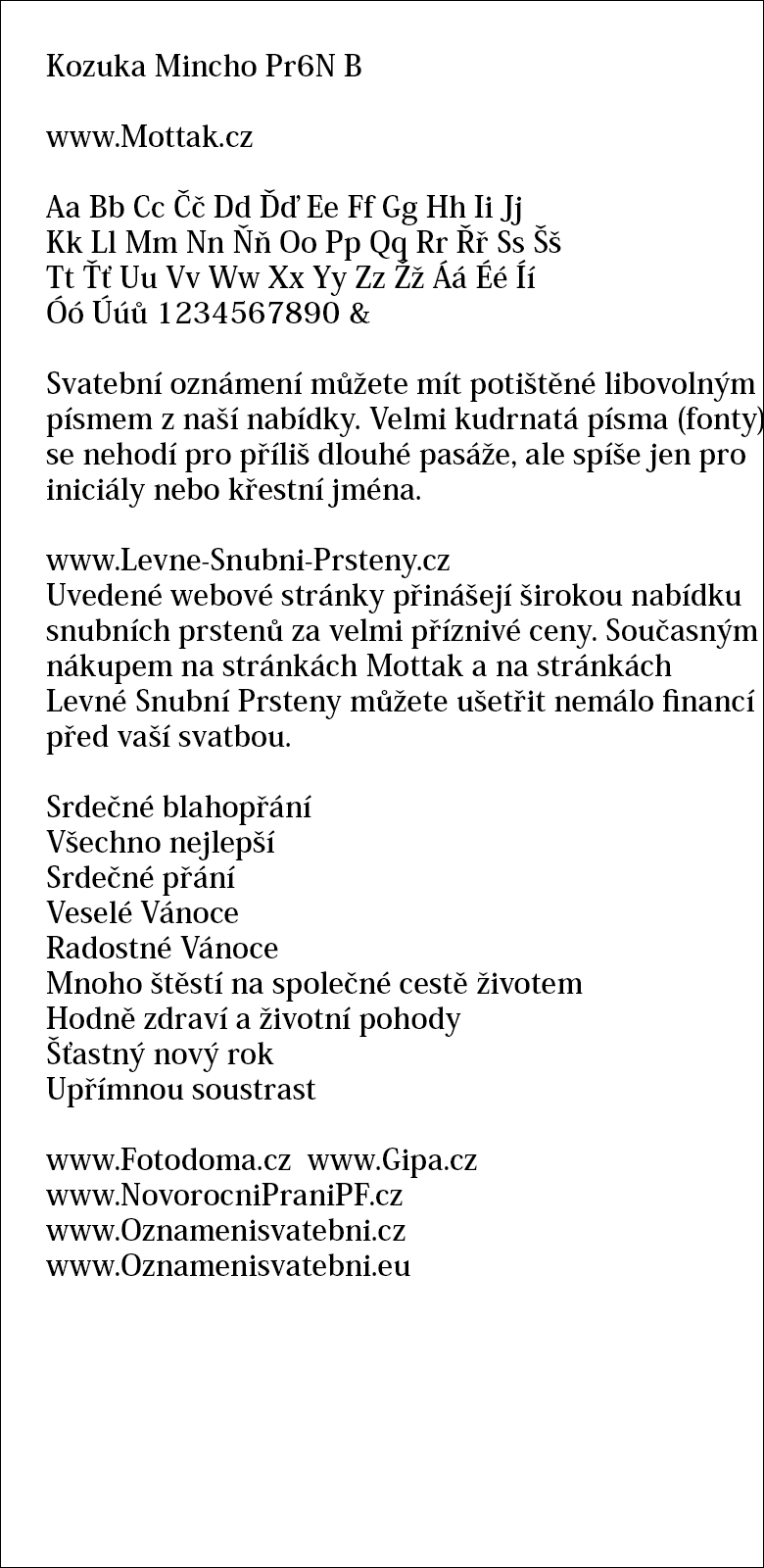 Kozuka Mincho Pr6N B