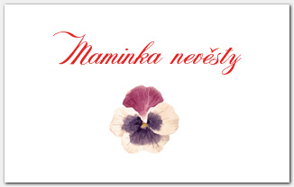 Jmenovka na svatební stůl s květy macešek 1060